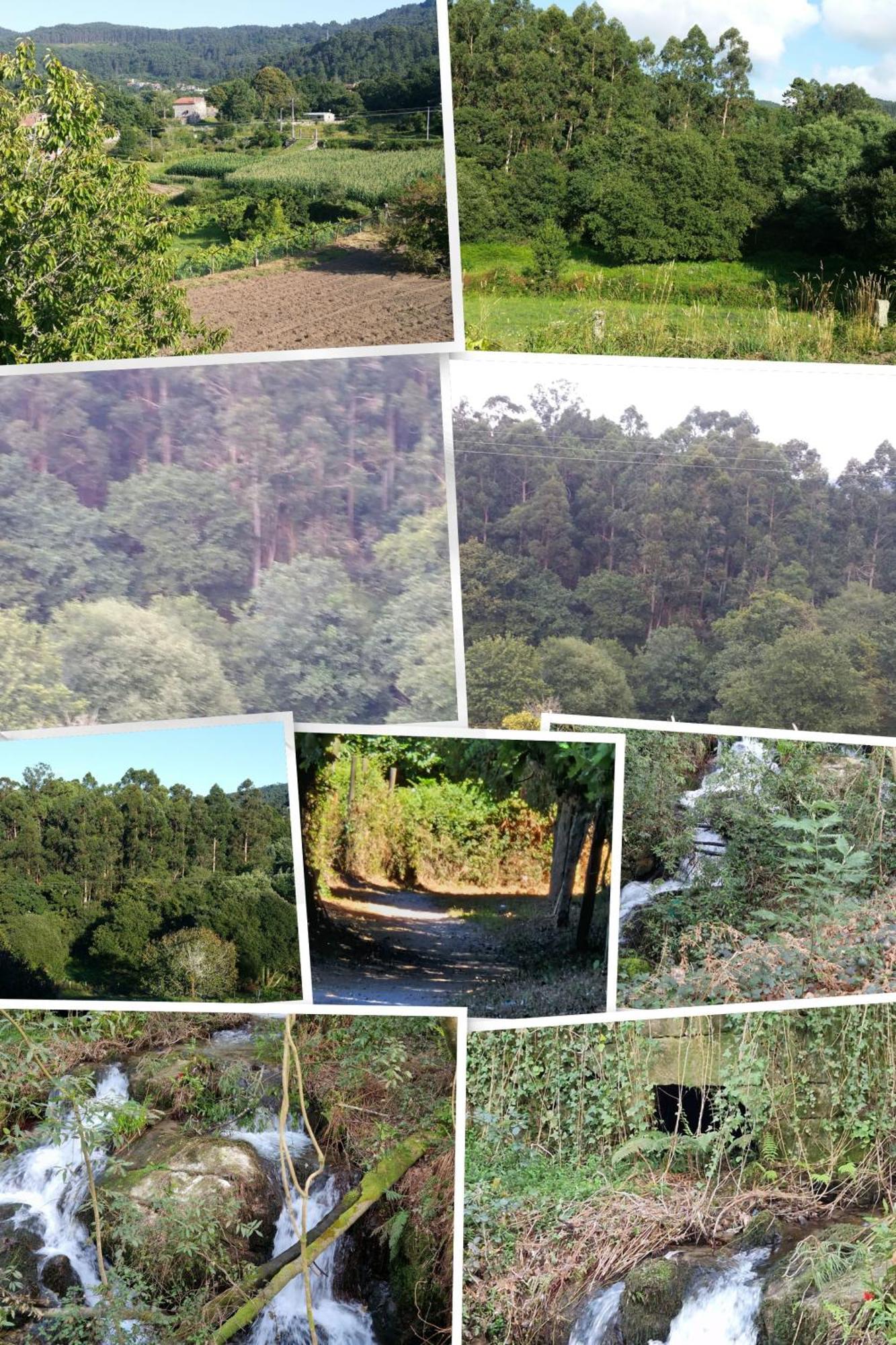 Villa Campo Das Medas , En Medio De La Naturaleza Con Piscina Privada De Sal Gondomar Exterior foto